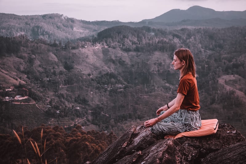 Forest Retreats