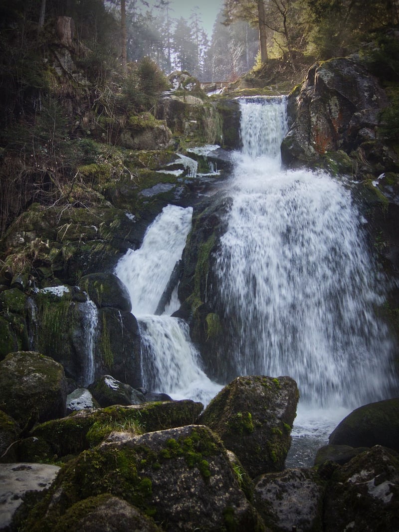Waterfall Oasis
